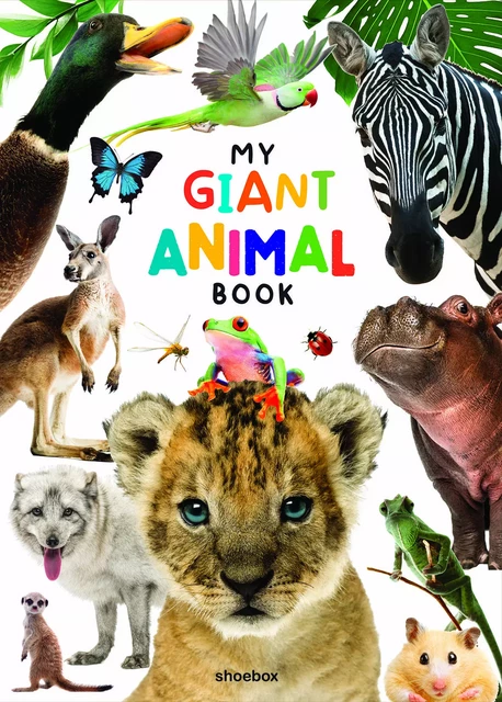 My Giant Animal Book - Kim Huynh - Shoeboxmedia