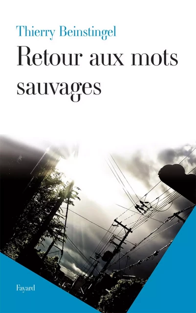 Retour aux mots sauvages - Thierry Beinstingel - Fayard