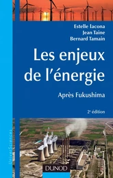 Les enjeux de l'énergie - 2e éd.