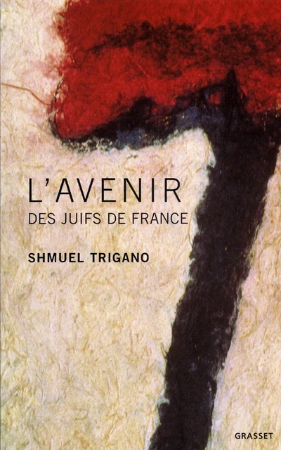 L'avenir des juifs de France - Shmuel Trigano - Grasset