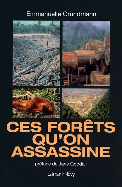 Ces forêts qu'on assassine - Emmanuelle Grundmann - Calmann-Lévy