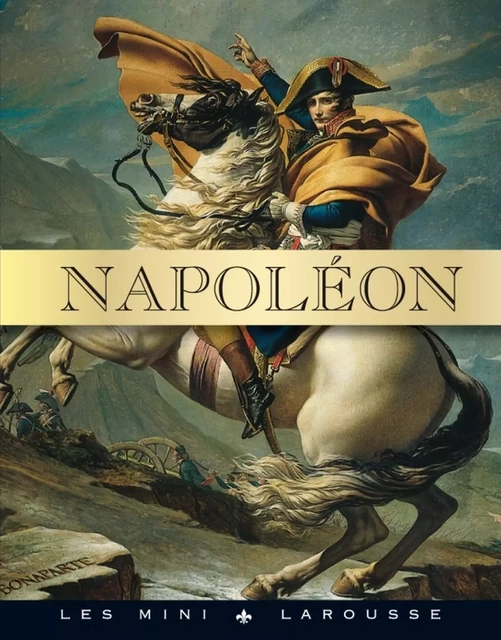 Napoléon -  Collectif - Larousse