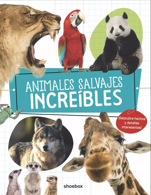 Animales Salvajes Increíbles - Danielle Robichaud - Shoebox MEDIA