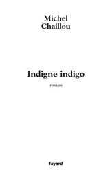 Indigne indigo