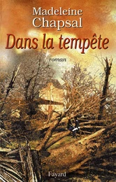 Dans la tempête