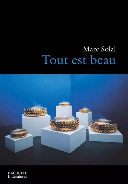 Tout est beau - Marc Solal - Hachette Littératures