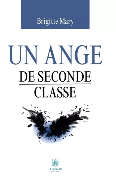 Un ange de seconde classe - Brigitte Mary - Le Lys Bleu Éditions