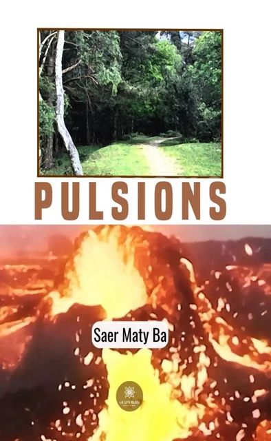 Pulsions - Saer Maty Ba - Le Lys Bleu Éditions