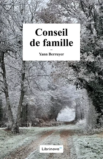 Conseil de famille - Yann Berruyer - Librinova