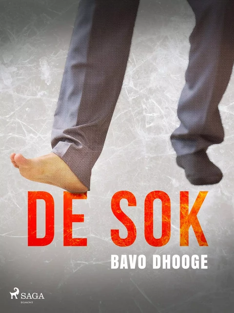 De sok - Bavo Dhooge - Saga Egmont International