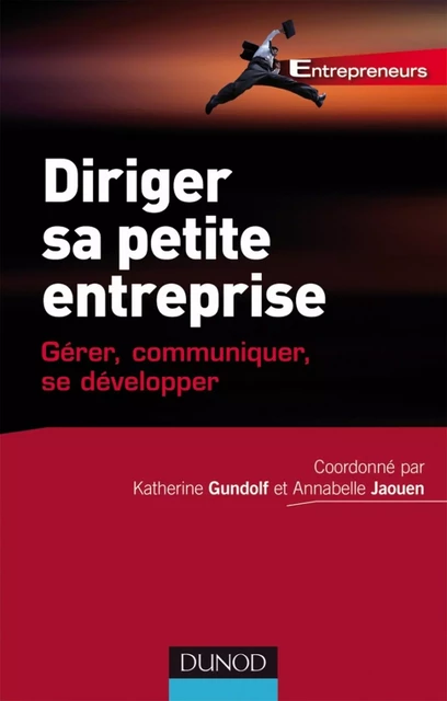 Diriger sa petite entreprise - Annabelle Jaouen, Katherine Gundolf - Dunod