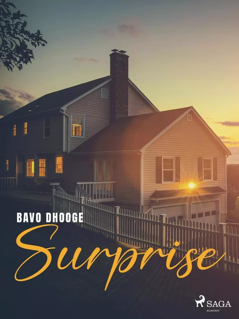 Surprise - Bavo Dhooge - Saga Egmont International