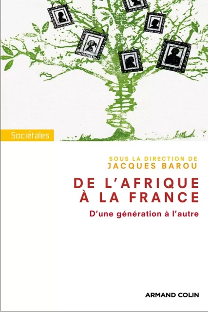 De l'Afrique à la France. D'une génération à l'autre. - Jacques Barou - Armand Colin