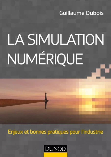 La simulation numérique - Guillaume Dubois - Dunod