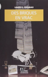 Des briques en vrac