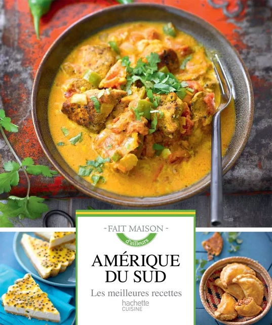 Amérique du Sud - Marie-Bénédicte Desvallon - Hachette Pratique