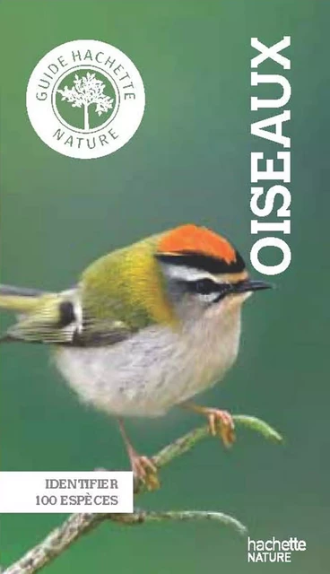 Le petit guide Hachette des oiseaux - Angelika lang - Hachette Pratique