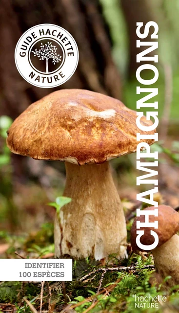 Le petit guide Hachette des champignons - Angelika lang - Hachette Pratique