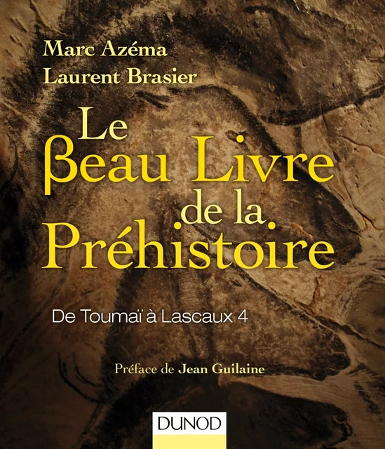 Le beau livre de la préhistoire - Marc Azema, Laurent Brasier - Dunod