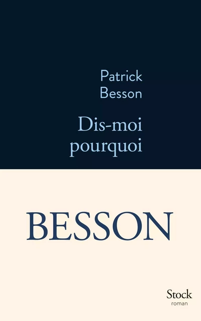 Dis-moi pourquoi - Patrick Besson - Stock