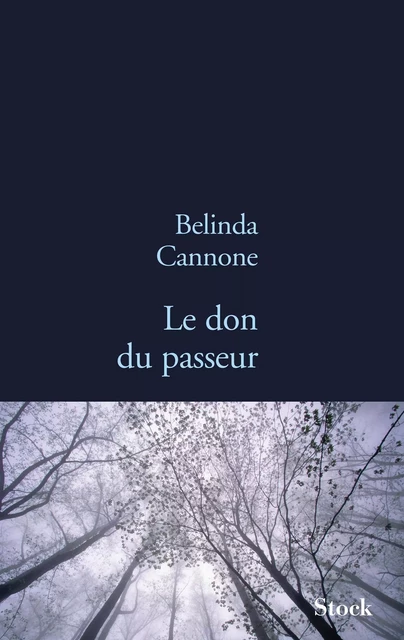 Le don du passeur - Belinda Cannone - Stock