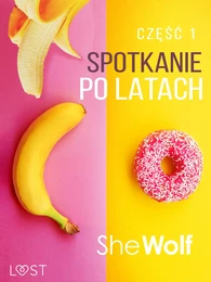 Spotkanie po latach 1 – opowiadanie erotyczne