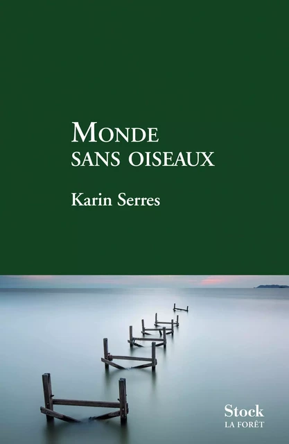 Monde sans oiseaux - Karin Serres - Stock