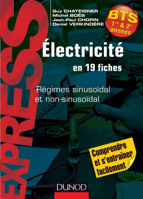 Électricité en 19 fiches - Guy Chateigner, Michel Boes, Jean-Paul Chopin, Daniel Verkindère - Dunod