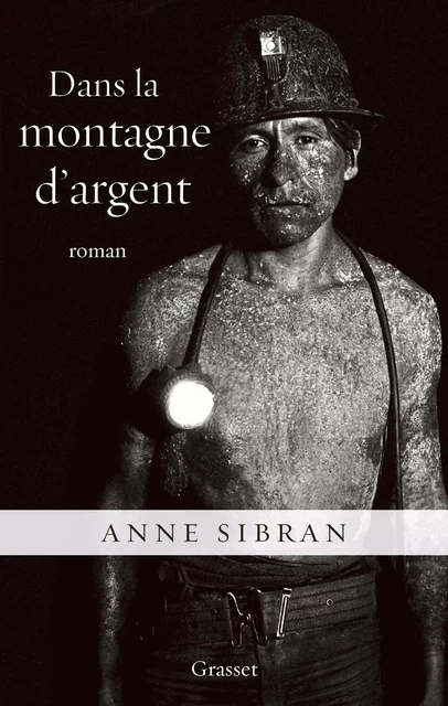 Dans la montagne d'argent - Anne Sibran - Grasset