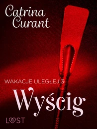 Wakacje uległej 3: Wyścig – seria erotyczna BDSM