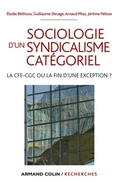 Sociologie d'un syndicalisme catégoriel