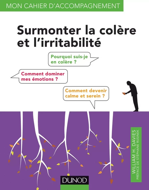 Surmonter la colère et l'irritabilité - William H. Davies - Dunod