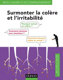 Surmonter la colère et l'irritabilité