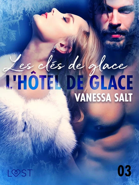 L'hôtel de glace 3 : Les clés de glace - une nouvelle érotique - Vanessa Salt - Saga Egmont French