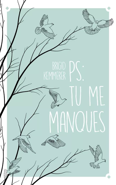 P.S. : Tu me manques - Brigid Kemmerer - Hachette Romans