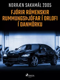 Fjórir rúmenskir rummungsþjófar í orlofi í Danmörku