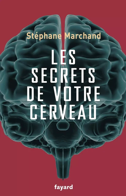 Les secrets de votre cerveau - Stéphane Marchand - Fayard