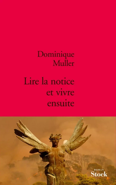 Lire la notice et vivre ensuite - Dominique Muller - Stock