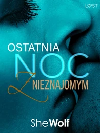 Ostatnia noc z nieznajomym – opowiadanie erotyczne