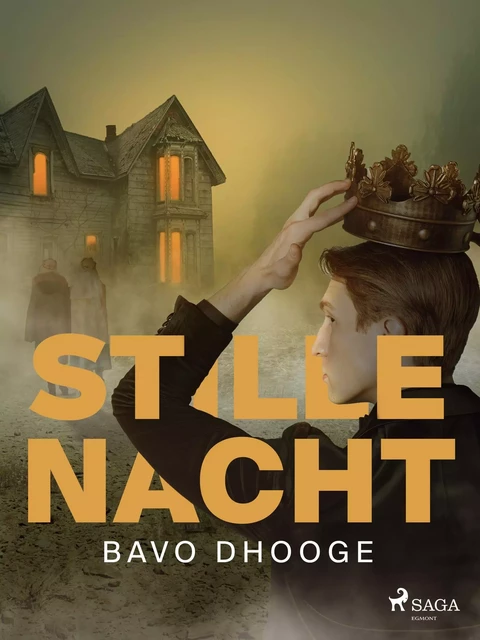 Stille Nacht - Bavo Dhooge - Saga Egmont International