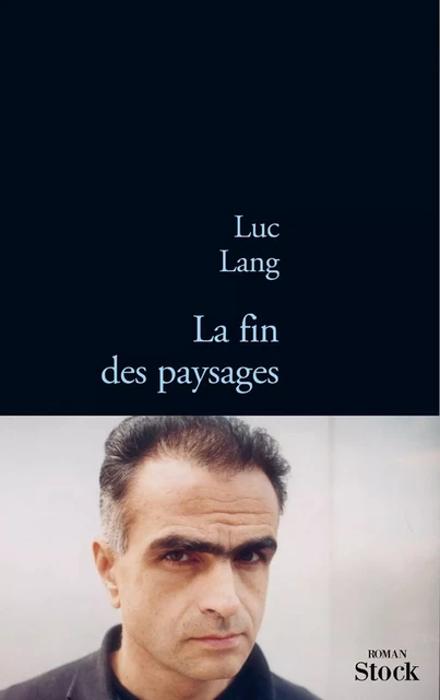 La fin des paysages - Luc Lang - Stock