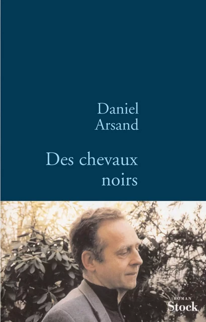 Des chevaux noirs - Daniel Arsand - Stock