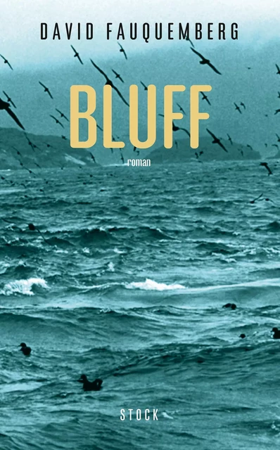 Bluff - David Fauquemberg - Stock