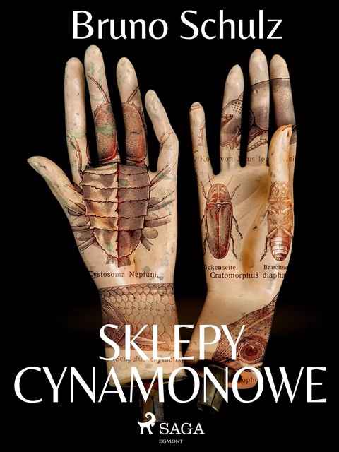 Sklepy cynamonowe - zbiór - Bruno Schulz - Saga Egmont International