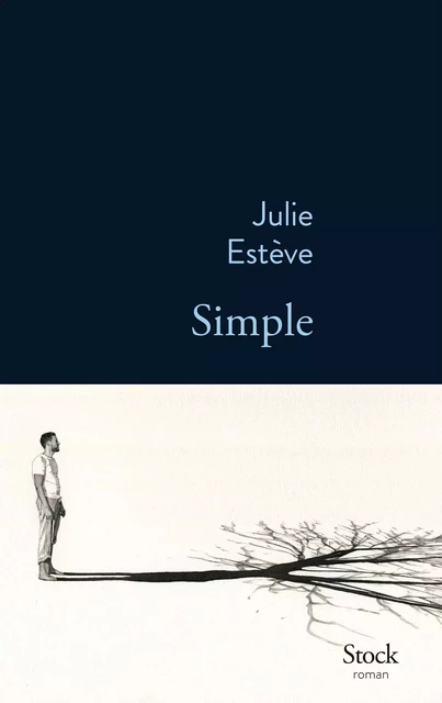 Simple - Julie Estève - Stock