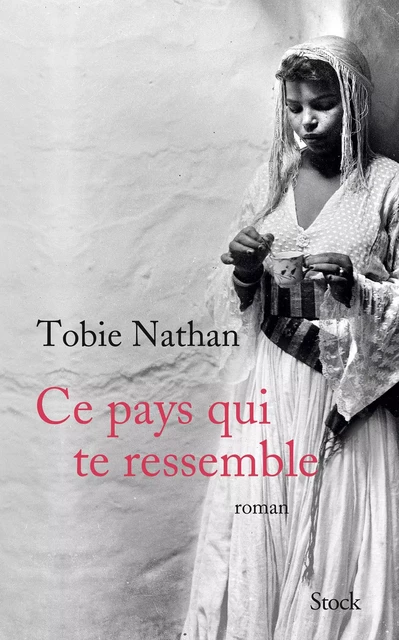 Ce pays qui te ressemble - Tobie Nathan - Stock