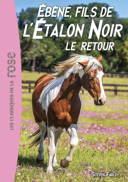 L'Étalon Noir 23 - Ébène, fils de l'Étalon Noir - Le retour - Steven Farley - Hachette Jeunesse