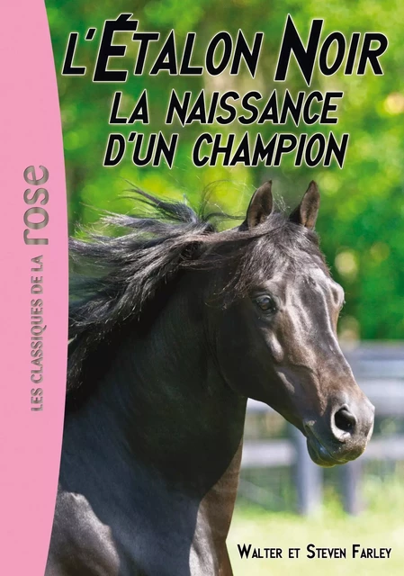 L'Étalon Noir 19 - La naissance d'un champion - Walter Farley - Hachette Jeunesse