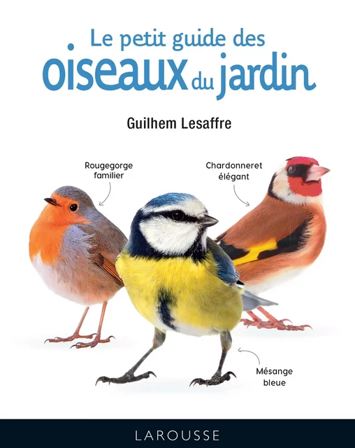 Le petit guide des oiseaux du jardin - Guilhem Lesaffre - Larousse