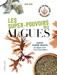 Les super pouvoirs des algues